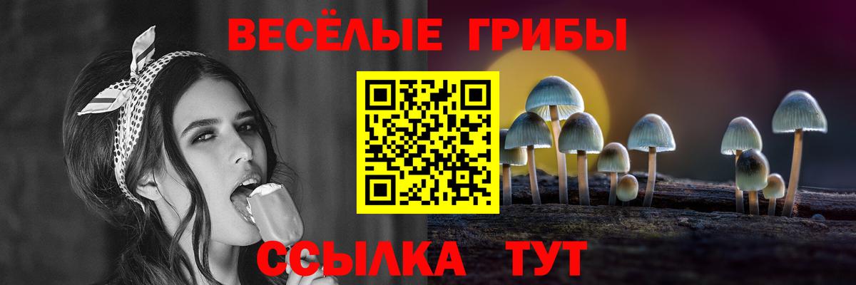 Псилоцибиновые грибы мицелий  Галлюциногенные грибы ЛСД  Учалы  магазин  наркотиков  Вход с VPN 